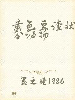 黄色豆渣状阴道分泌物