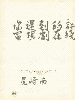 你迟到的许多年电视剧在线观看免费