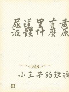 尿道里有黄色的液体什么原因