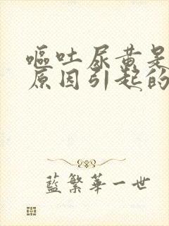 呕吐尿黄是什么原因引起的封面