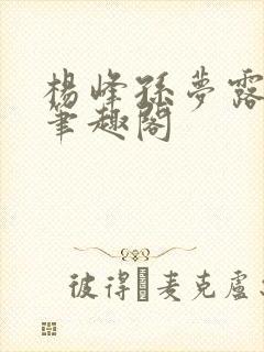 杨峰孙梦露小说笔趣阁