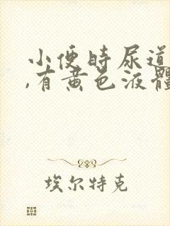 小便时尿道刺痛,有黄色液体封面