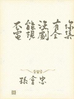 不能没有你韩剧电视剧全集免费播放