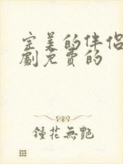 完美的伴侣电视剧免费的