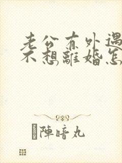 老公有外遇到我不想离婚怎么办