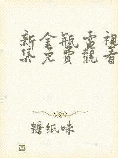 新金瓶电视剧全集免费观看封面