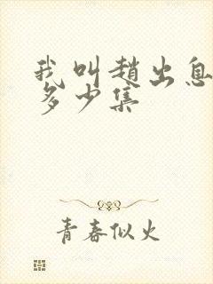 我叫赵出息总共多少集