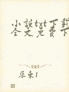 小说txt下载全文免费下载