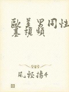 欧美男同性恋搞基视频