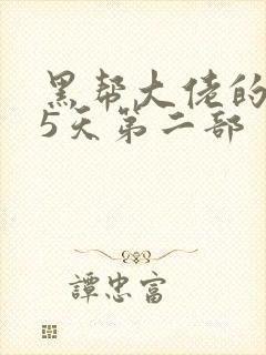 黑帮大佬的365天第二部封面