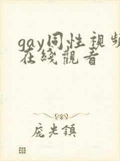 gay同性视频在线观看封面