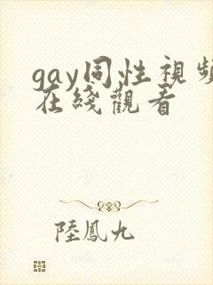 gay同性视频在线观看