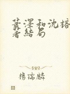 萧泽和沈榕宁原著结局封面