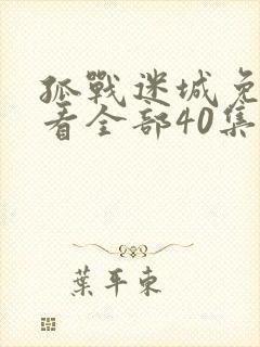 孤战迷城免费观看全部40集