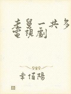 老舅一共多少集电视剧封面