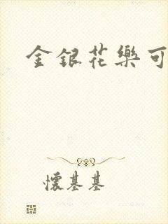 金银花乐可小说封面