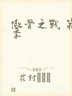 傲骨之战 第三季