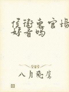 侯卫东官场笔记好看吗