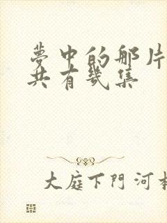 梦中的那片海一共有几集