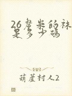 26厘米的袜子是多少码