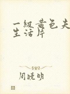 一级黄色夫妻性生活片