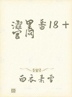 涩里番18 +官网封面