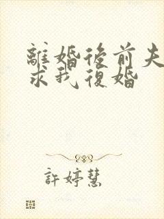 离婚后前夫哭着求我复婚