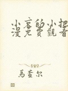 小哀的小把戏动漫免费观看全集高清