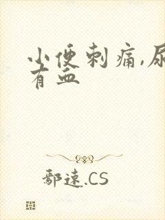 小便刺痛,尿里有血