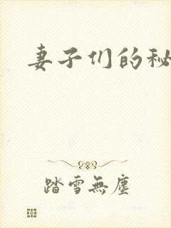 妻子们的秘密封面