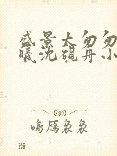 盛景太匆匆宁若曦沈砚舟小说阅读