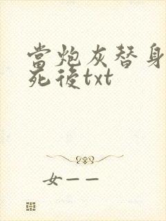 当炮灰替身的我死后txt