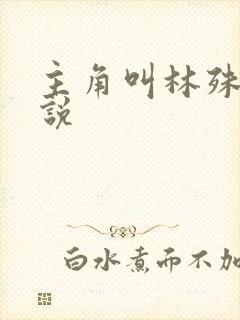 主角叫林殊的小说封面