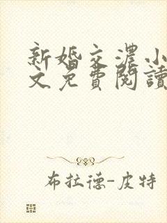 新婚交浓小说全文免费阅读辛桐封面