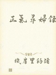 正气寻妇录
