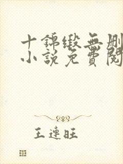 十锦缎无删原著小说免费阅读