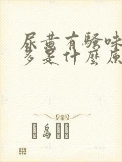 尿黄有骚味泡沫多是什么原因