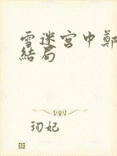 雪迷宫中郑南的结局