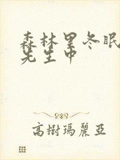 森林里冬眠的熊先生中