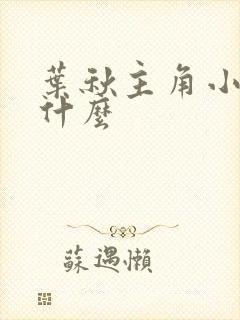 叶秋主角小说叫什么封面