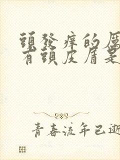 头发痒的厉害还有头皮屑是怎么回事