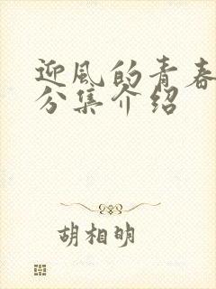 迎风的青春剧情分集介绍