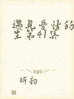 遇见爱情的利先生第41集