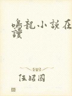 鸣龙小说在线阅读