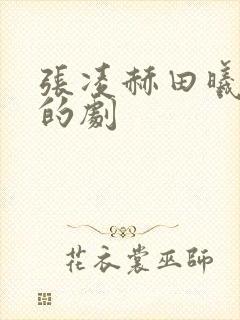 张凌赫田曦薇演的剧