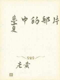 梦中的那片海胡夏