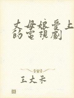 丈母娘爱上女婿的电视剧