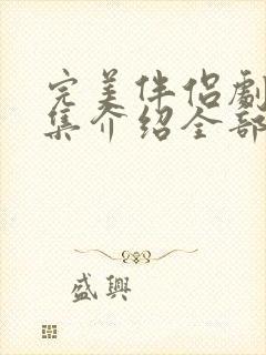 完美伴侣剧情分集介绍全部封面