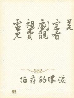 电视剧完美伴侣免费观看