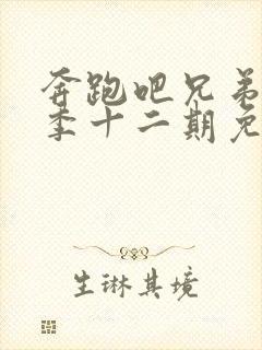 奔跑吧兄弟第十季十二期免费观看